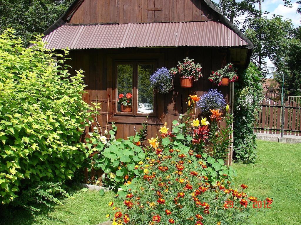 Apartmán Modrzew Zakopane Exteriér fotografie
